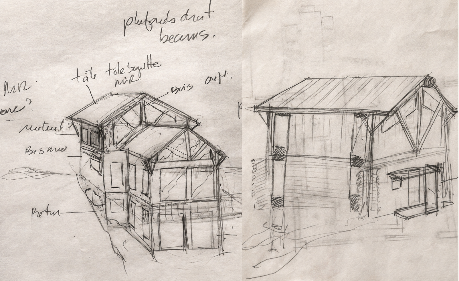 Preliminary architectural sketches for a Tucson log home